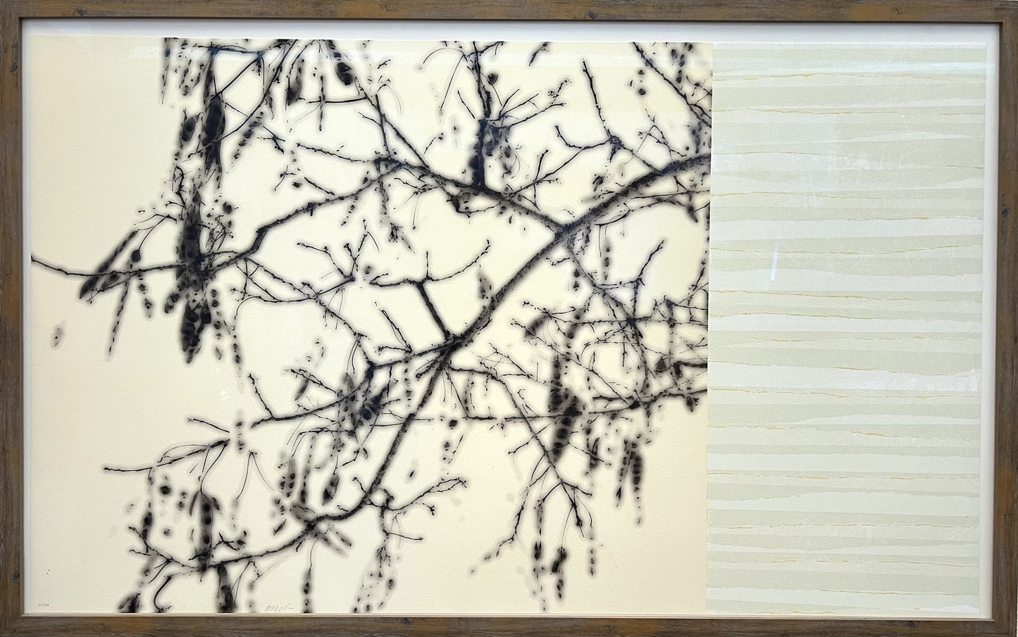Holstein, Bent, White Locust Tree, 60 x 98cm, 60/99, Farblithografie