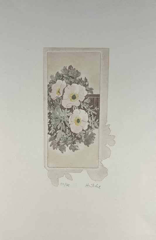 Hüttche, Sylvia, Anemonen Rosé, 39,5 x 25,5cm, 51/75, Farbradierung