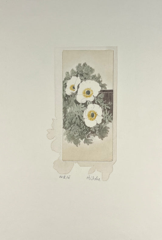Hüttche, Sylvia, Anemonen Weiß, 39,5 x 25,5cm, e.a., 11/15, Farbradierung