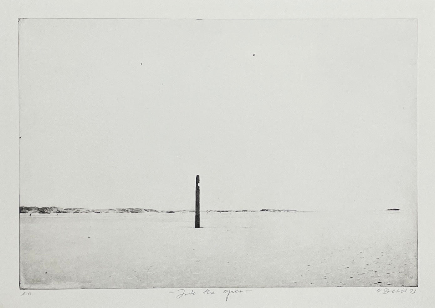 Dietrich, Nadine, Into the open 2023, Ed. e.a., Photopolymer Etching, 26,7 x 39,5 cm G