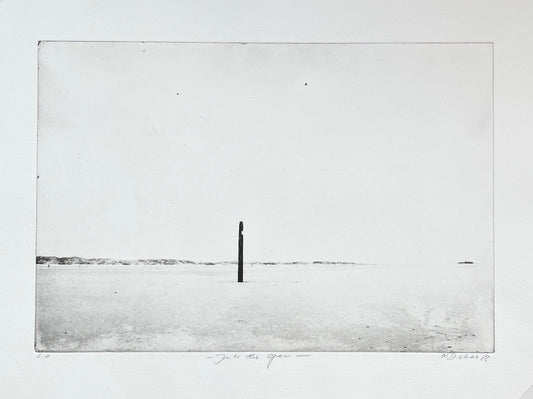 Dietrich, Nadine, Into the open, Ed. e.a., Photopolymer Etching, 26,7 x 39,5 cm