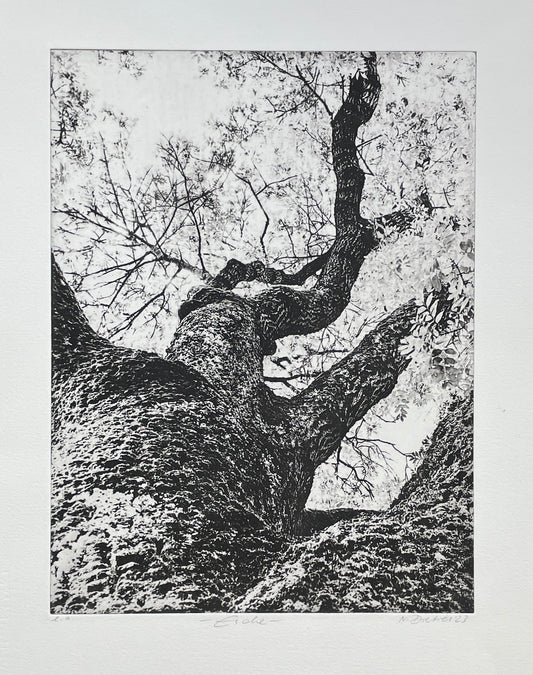 Dietrich, Nadine, Esche, Ed. e.a., Photopolymer Etching, 37 x 27 cm