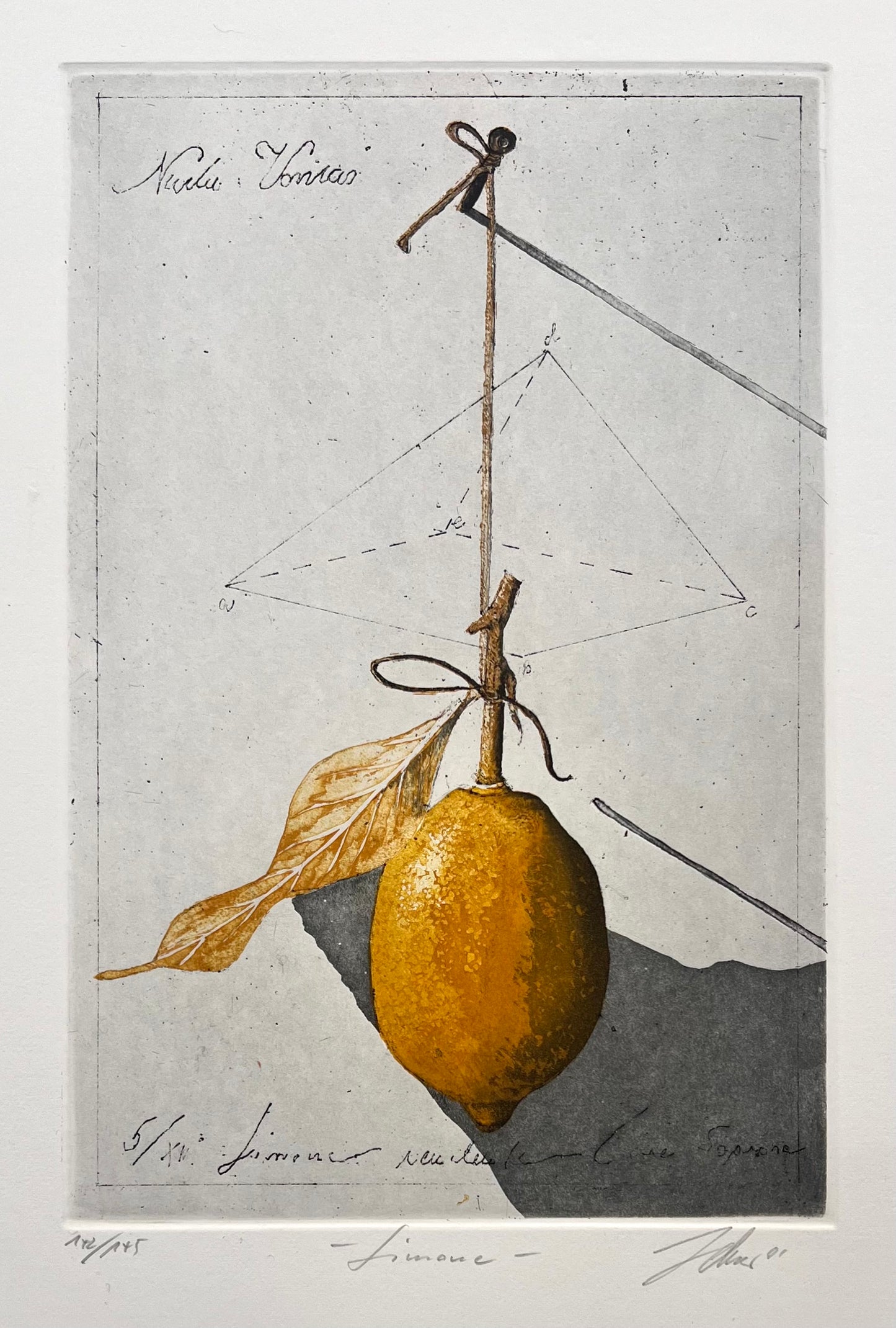Zelmer, Wolfgang, Limone, 29,5 x 19,5cm, Farbradierung