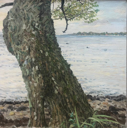 Störtenbecker, Nikolaus, Baum am Ufer 1983, Öl auf Leinwand, 30x30