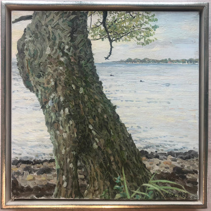 Störtenbecker, Nikolaus, Baum am Ufer 1983, Öl auf Leinwand, 30x30