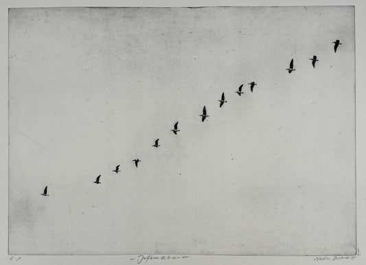 Dietrich, Nadine, In Formation, 26,8 x 37,2cm, e.a., Photopolymer Etching