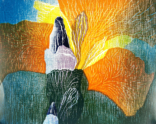 Hermanns, Gerhard, Iris Variegata, 19,4 x 24,4cm, II/IIHolzschnitt, 2002