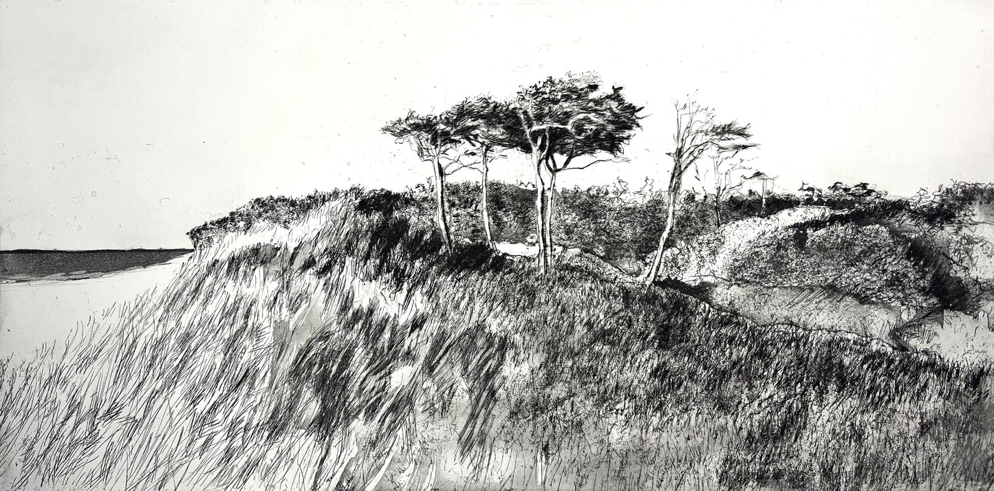 Werkmeister, Wolfgang, Kiefern am Darßer Weststrand, 30 x 60cm, 5/85, Radierung, 2006