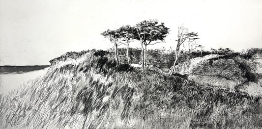 Werkmeister, Wolfgang, Kiefern am Darßer Weststrand, 30 x 60cm, 5/85, Radierung, 2006