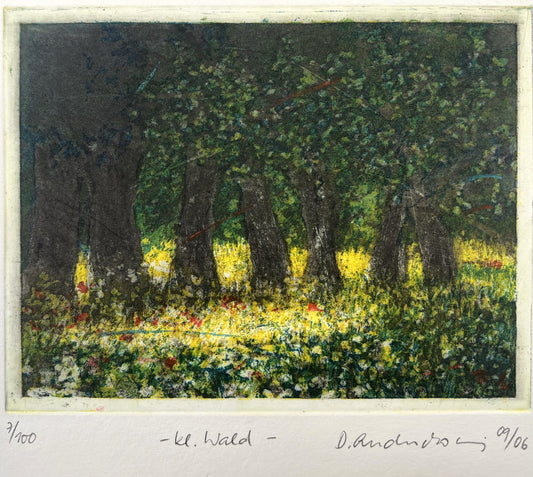 Andruchowicz, Dietlinde, Kleiner Wald, 13,8 x 17,8cm, 7/100, Radierung