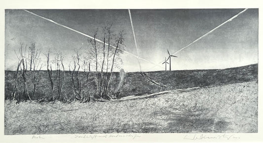 Werkmeister, Wolfgang, Landschaft mit Kondensstreifen, 29,5 x 59cm, Probe, Radierung