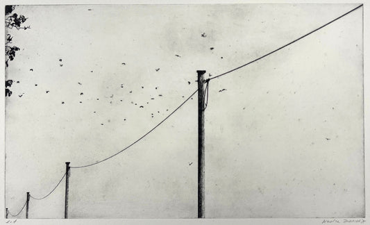 Dietrich, Nadine, Lange Leitung/ Vögel 2, 21 x 35,2cm, e.a2., Photopolymer Etching
