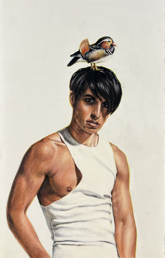 Leiß, Levke Anna, Beau, 17,5 x 41cm, Original, Buntstiftzeichnung