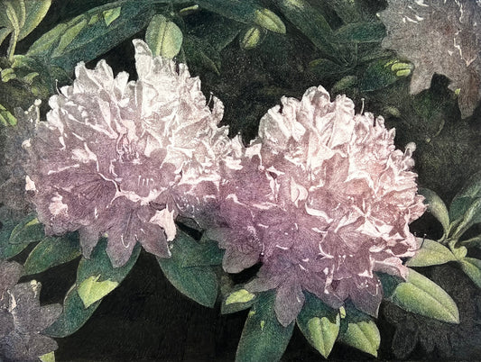 Wieland, Karl, Lichterkristalle, 32 x 43cm, II/XII, Farbradierung, 2003