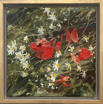 Meinel, Mathias, Mohn und Kamille IV, 25 x 25cm, Öl auf Leinw., 2026
