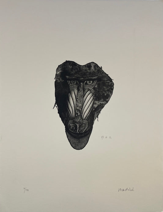 Wunderlich, Paul, Mandrill Gesicht, 7/40, Heliografie, 1987