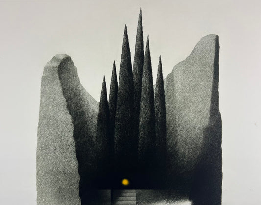 Meckseper, Friedrich, Bäume und Fels, 39 x 49,5cm, 32/75, Radierung, 1987