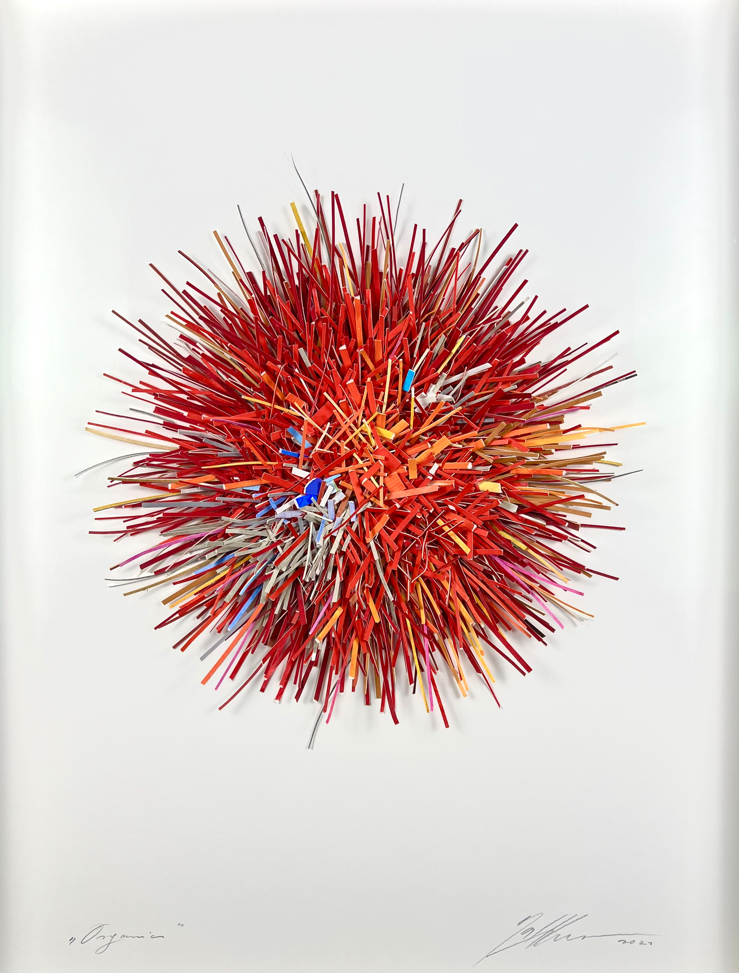 Mierzwa, Gabriele, Organics, Blau-Rot-Gelb, 80 x 60cm, Unikat, 3D-Papierobjekt, Objektrahmen mit Museumsglas