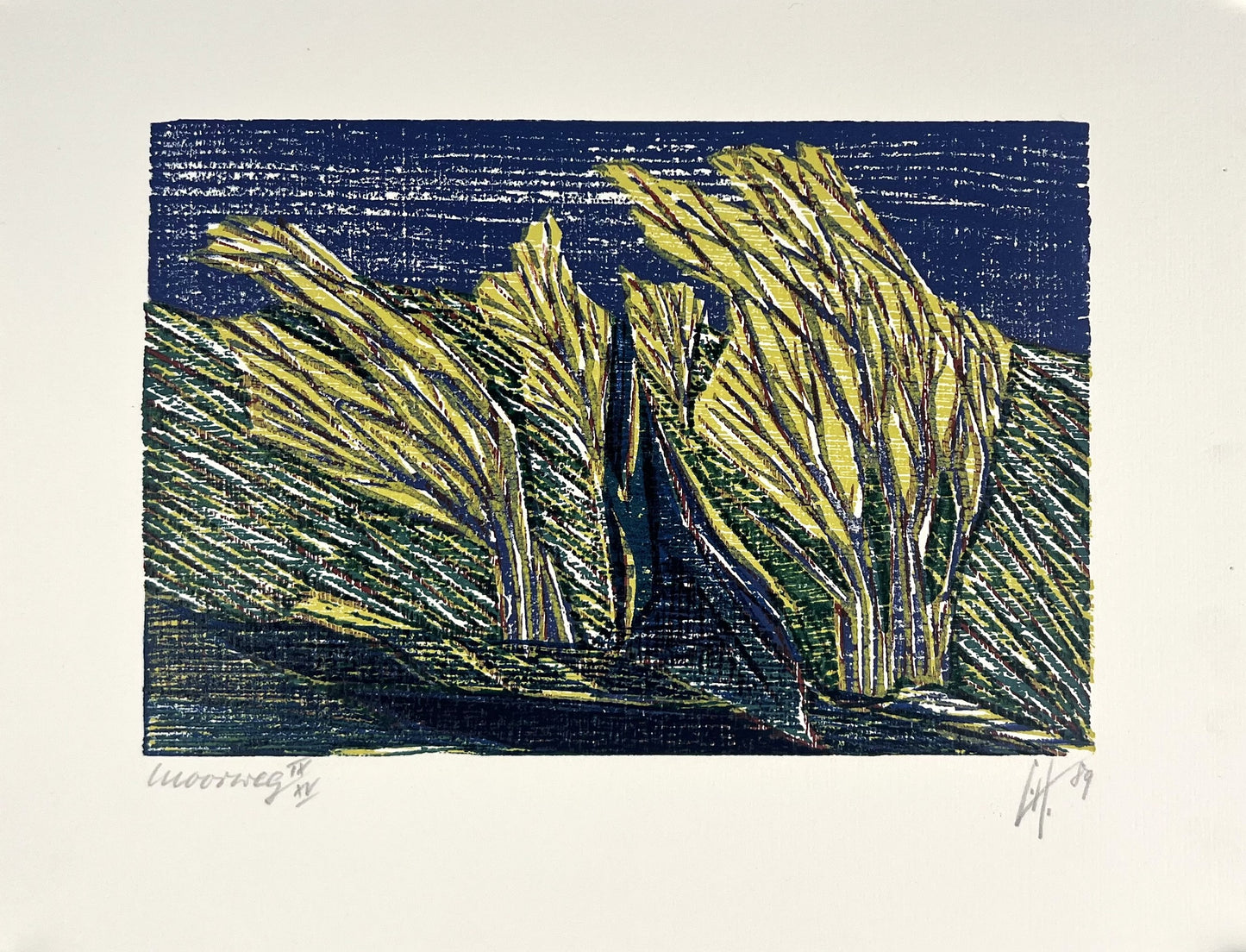 Hermanns, Gerhard, Moorweg, 16,3 x 23,5cm, IX/XV, Holzschnitt, 1989