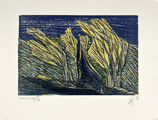 Hermanns, Gerhard, Moorweg, 16,3 x 23,5cm, IX/XV, Holzschnitt, 1989