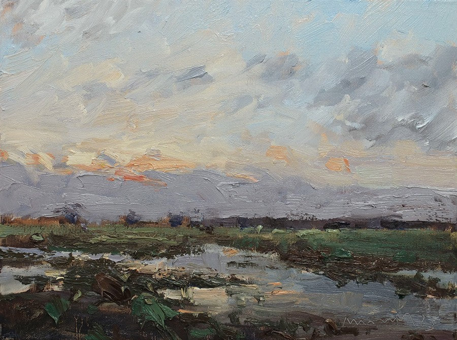 Meinel, Mathias, Nach dem Regen, 30 x 40cm, Öl auf Leinw., 2025