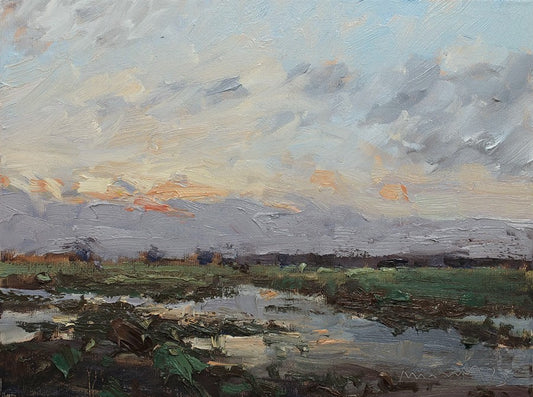 Meinel, Mathias, Nach dem Regen, 30 x 40cm, Öl auf Leinw., 2025