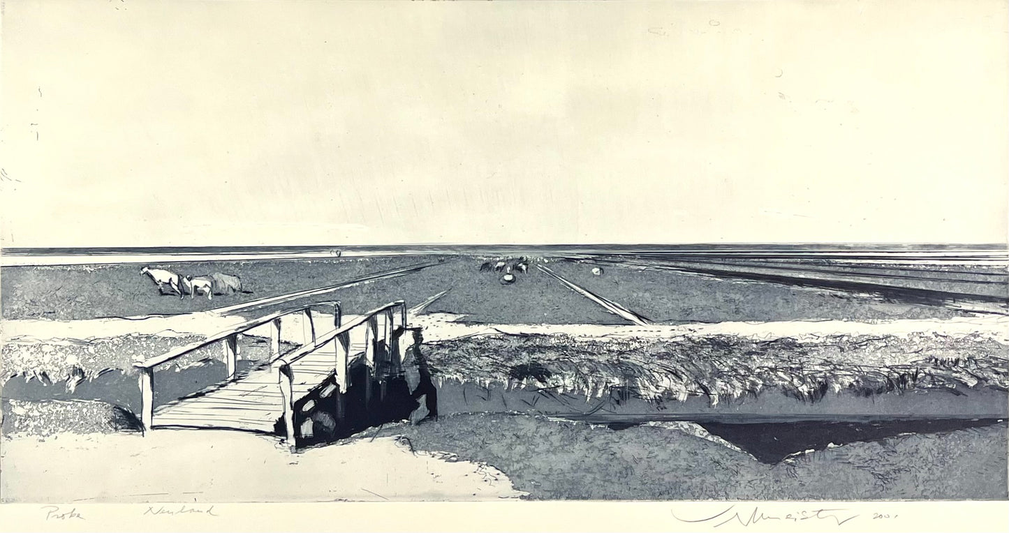 Werkmeister, Wolfgang, Neuland, 46,5 x 78,5cm, Westküstenzyklus II, Radierung