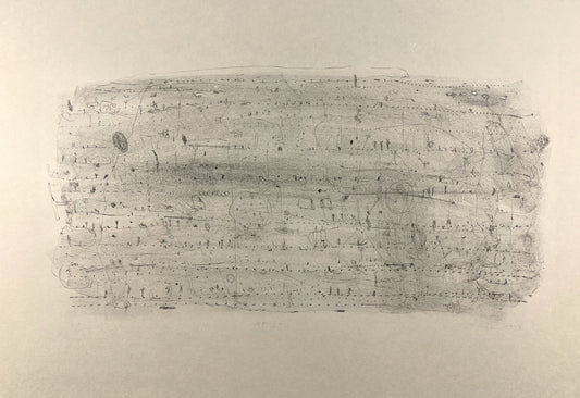 Behrendt, Falko, Nordfriesland II, 33 x 63cm,(e.a.), Lithografie,1993