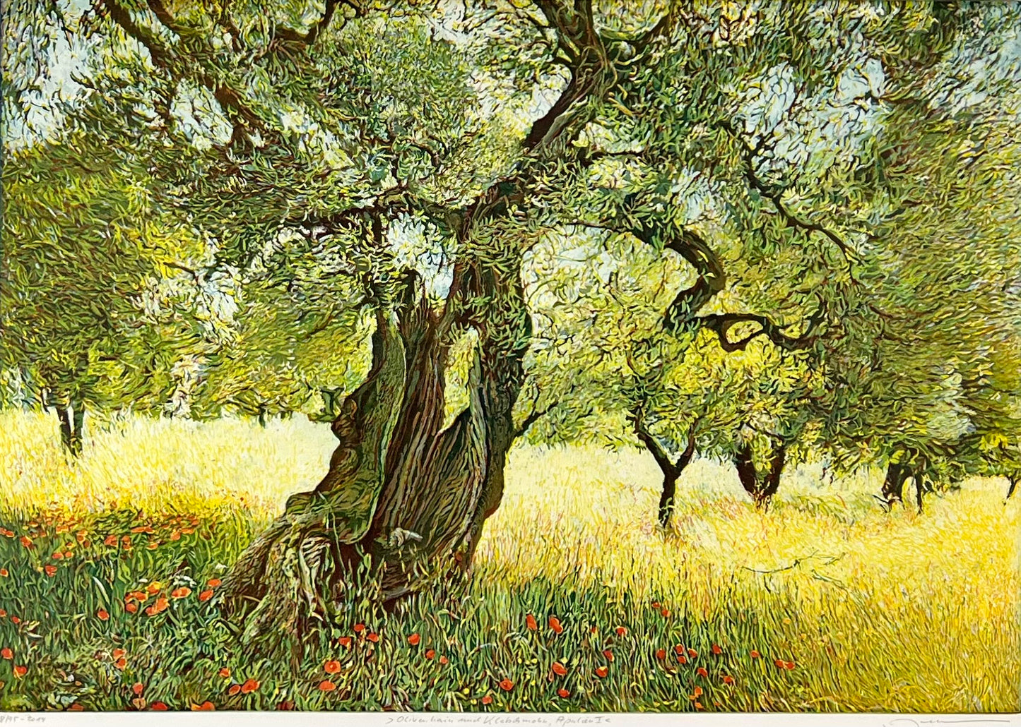 Hermann, Günther, Olivenhain und Klatschmohn I Apulien, 34,5 x 49,5cm, Farbradierung