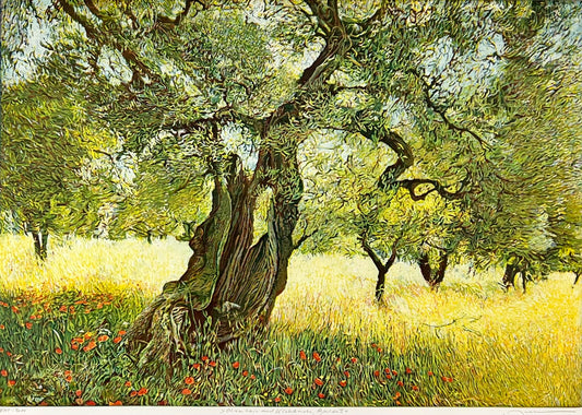 Hermann, Günther, Olivenhain und Klatschmohn I Apulien, 34,5 x 49,5cm, Farbradierung