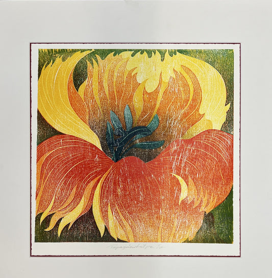 Hermanns, Gerhard, Papageientulpe, 39 x 40cm, 1/3, Holzschnitt, 2004