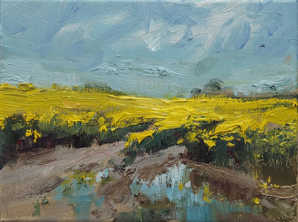 Meinel, Mathias, Raps bei Bülow, 18 x 24cm, Öl auf Leinw., 2026