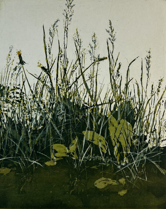 Anderson, Friedel, Rasenstück nach Dürer, 24,2 x 20cm, 15/60, Farbradierung