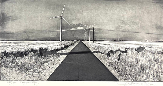 Werkmeister, Wolfgang, Reußenköge, 30 x 60cm, 12/85, Westküstenzyklus II, Radierung
