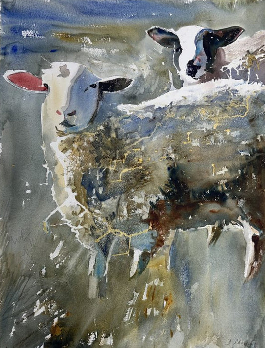 Rhodius, Detlef, Zwei Schafe, 67 x 48cm, Aquarell, 2015