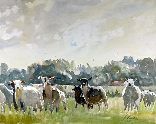 Rhodius, Detlef, Schafe, 49 x 62,5cm, Aquarell, 2015