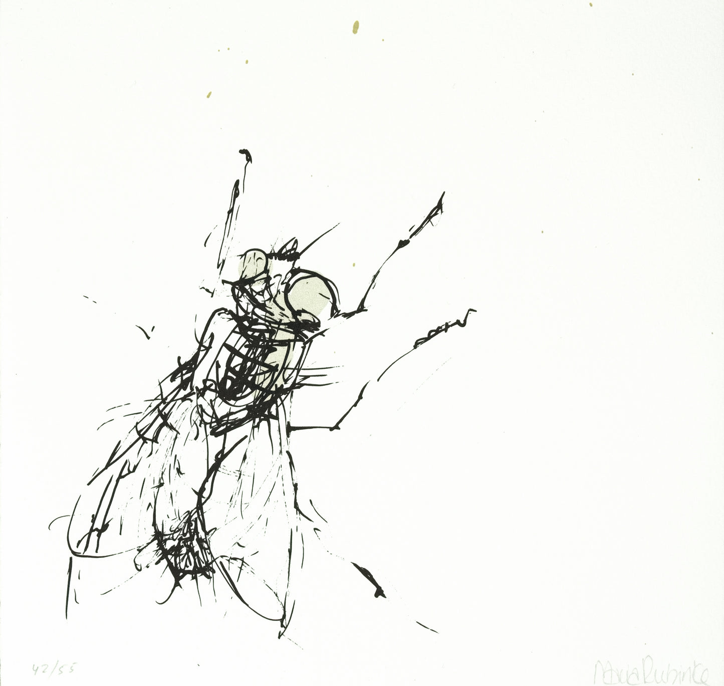 Rubinke, Maria, Fliege an der Wand, 22 x 23cm, 42/55, Lithografie
