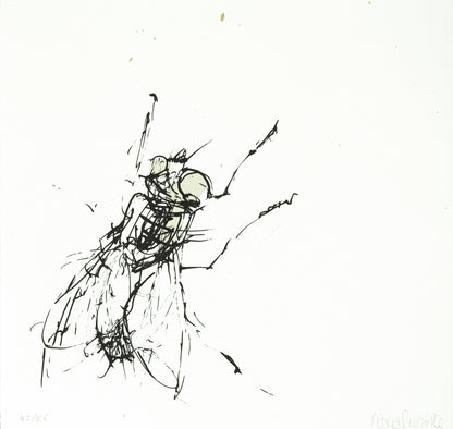 Rubinke, Maria, Fliege an der Wand, 22 x 23cm, 42/55, Lithografie