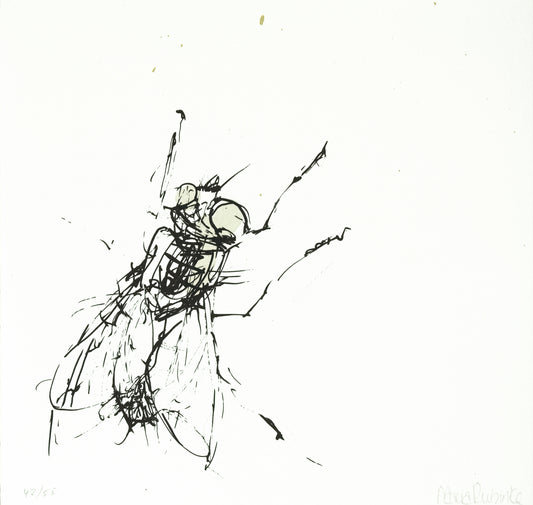 Rubinke, Maria, Fliege an der Wand, 22 x 23cm, 42/55, Lithografie