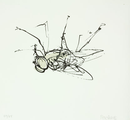 Rubinke, Maria, Fliege an der Decke, 25 x 23cm, 50/55, Lithografie