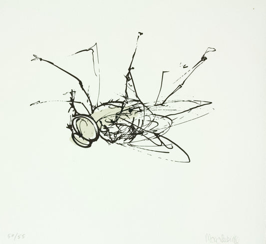 Rubinke, Maria, Fliege an der Decke, 25 x 23cm, 50/55, Lithografie