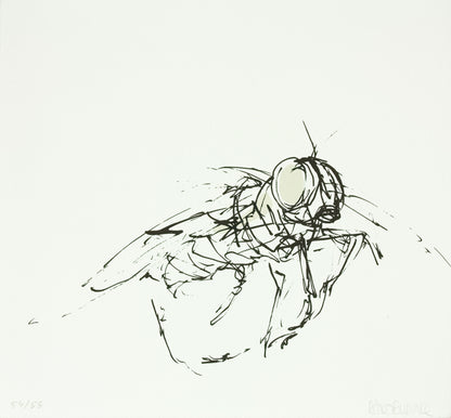Rubinke, Maria, Fliege im Flug, 25 x 23cm, 54/55, Lithografie