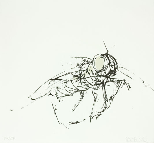Rubinke, Maria, Fliege im Flug, 25 x 23cm, 54/55, Lithografie