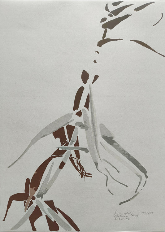 Sprotte, Siegward, Schilf Madeira 1981, Serigraphie sign. + num. Auflage 189/200, 70,4 x 50 cm