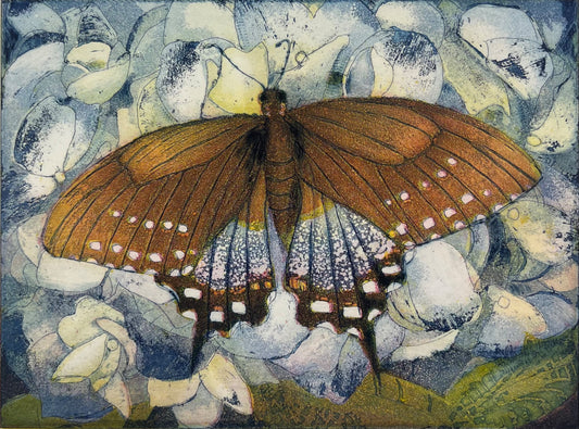 Votteler, Jutta, Schmetterlingsparadies, 15 x 19,8cm, 30/150, Farbradierung