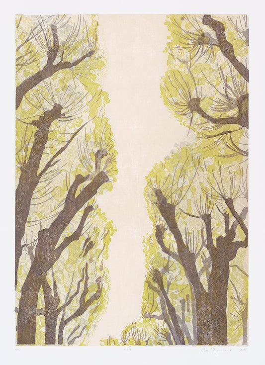 Schuppenhauer, Petra, Allee, 80 x 60cm, e.a., Holzschnitt, 2012