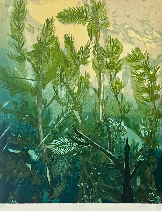 Schuppenhauer, Petra, Seegrund, 71 x 56cm, 2/14, Holzschnitt, 2016