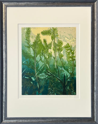Schuppenhauer, Petra, Seegrund, 71 x 56cm, 2/14, Holzschnitt, 2016