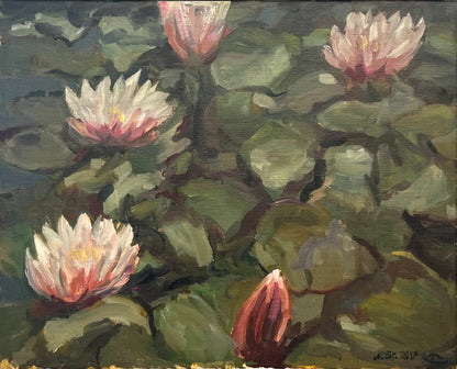 Störtenbecker, Nikolaus, Seerosen, 2017, Öl auf Leinwand, 40 x 50 cm