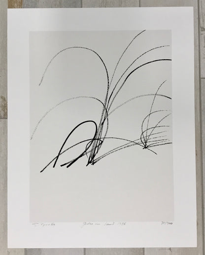 Sprotte, Siegward, Gräser im Sand 1988, Serigraphie sign. + num. Auflage 170/300